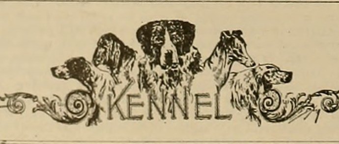 Image from page 245 of Breeder and sportsman (1882